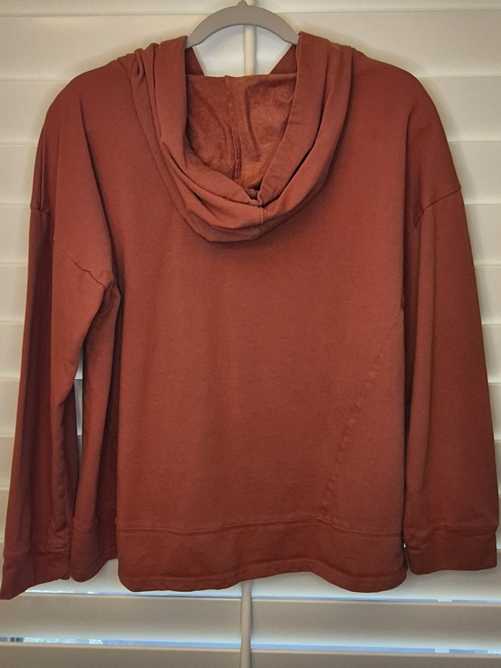 Cotton Bleu Henley Hoodie Pullover in Rust Autumn Orange Sz L Front Pouch Pocket - Picture 5 of 6
